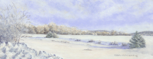 New Snow