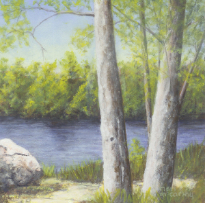 Spring Day at the Pond